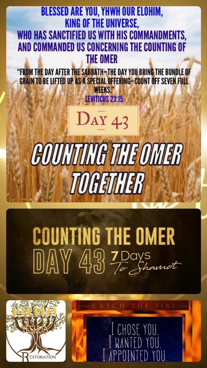 bbbthatsright's tweet photo. Our Messiah’s Awakened Brother: James (Remastered):
https://t.co/TAp3dXKB0P
#YHWH #Yeshua #Yahweh #Jesus #OurMessiahsAwakenedBrother #James #TheBookofJames #Romans #TheWordofGod #DemonsTremble #SeekHim #Christian #Love #GodIsLove https://t.co/S9QFFnknN0