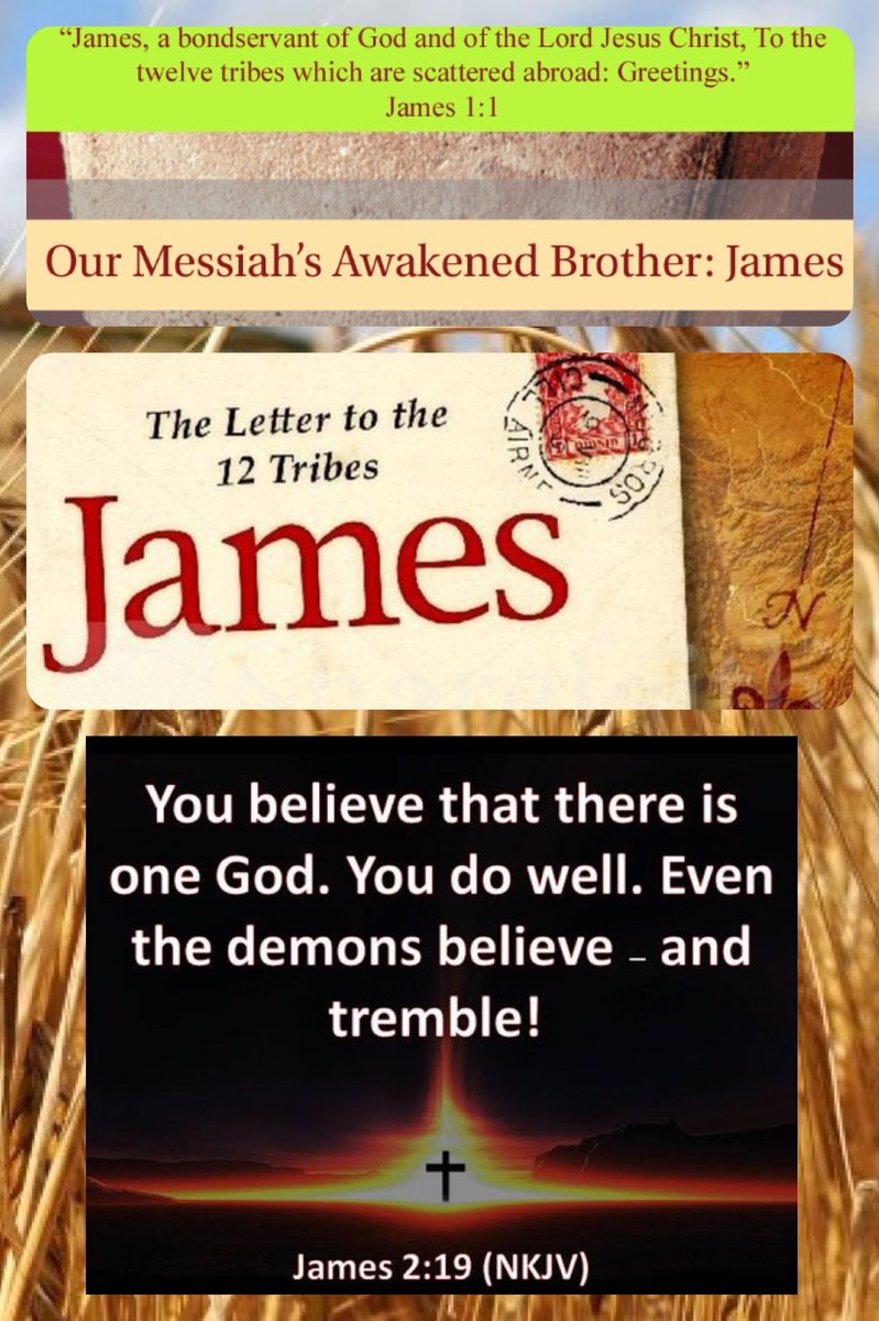 bbbthatsright's tweet photo. Our Messiah’s Awakened Brother: James (Remastered):
https://t.co/TAp3dXKB0P
#YHWH #Yeshua #Yahweh #Jesus #OurMessiahsAwakenedBrother #James #TheBookofJames #Romans #TheWordofGod #DemonsTremble #SeekHim #Christian #Love #GodIsLove https://t.co/S9QFFnknN0
