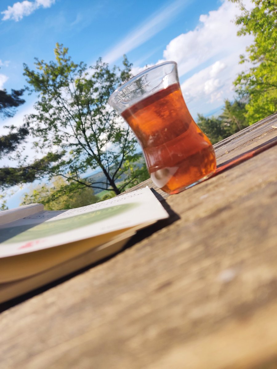 Fili görmeyen gözleriniz pireyi arıyor.
- Yaşar Kemal
#pazar