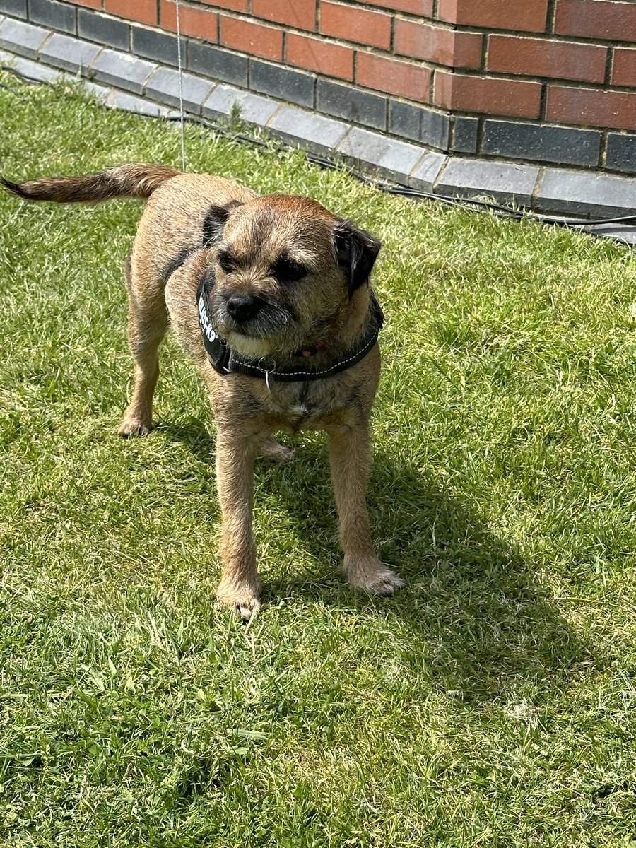 #RT VisitDover: RT <a href="/DealBandstand/">Deal Bandstand</a>: Come and join us today as we welcome the Sid Bolan Big Band &amp; Boogie their mascot to <a href="/DealBandstand/">Deal Bandstand</a> - performing from 2:30pm - with thanks to our sponsor <a href="/ShepherdNeame/">Shepherd Neame</a> 🎺  🎷