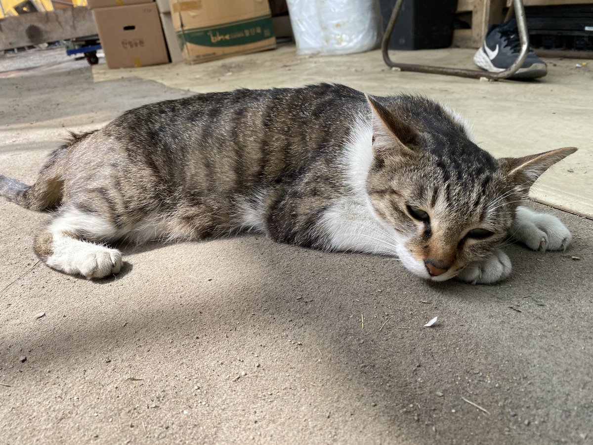 hsmw6 (@hsmw66) on Twitter photo 