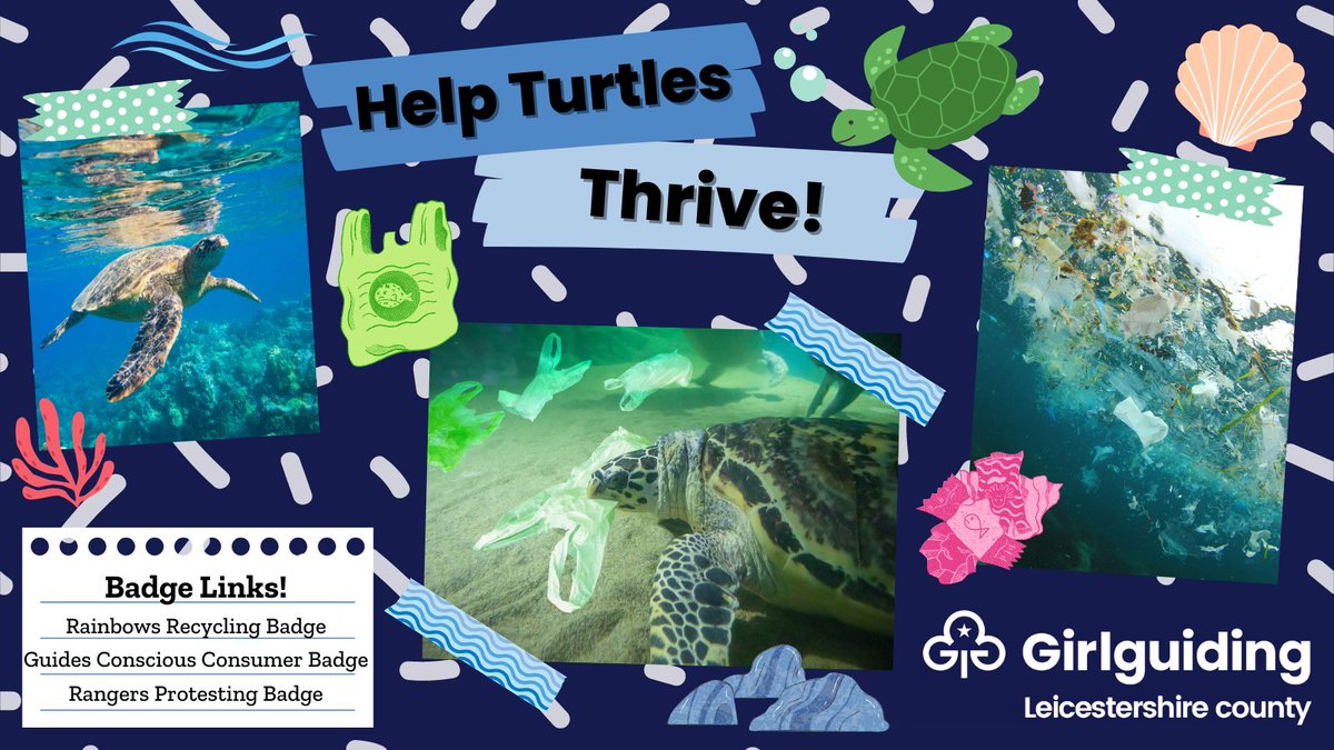 Let's Shellabrate World Turtle Day on 23 May this week by helping keep our oceans free of plastic pollution! Reduce your use of single use plastic and make others aware of the damage plastic pollution can do.

#girlguiding #allgirlscandoanything #savetheplanet