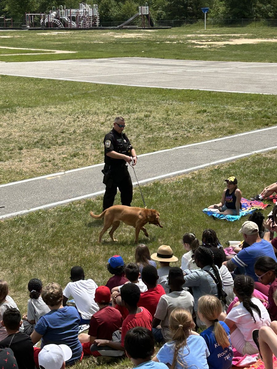 RockyRunES tweet media