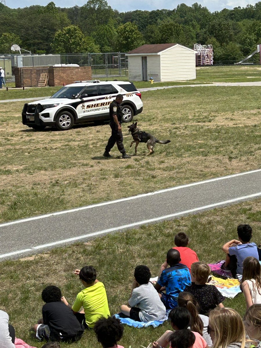 RockyRunES tweet media