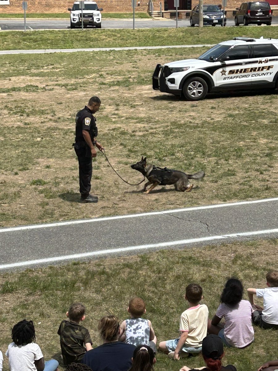 RockyRunES tweet media