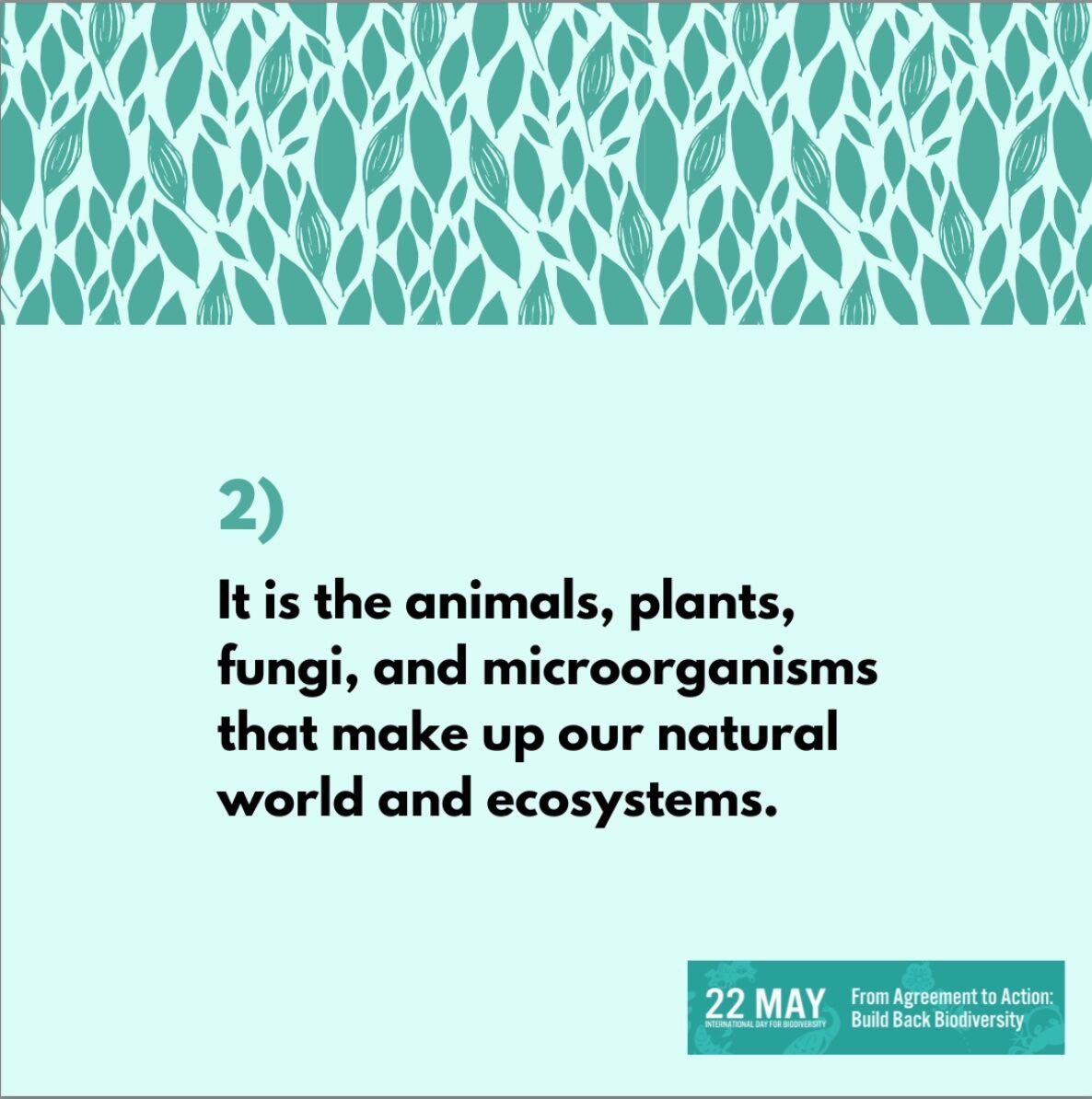 AtMicrobe tweet picture