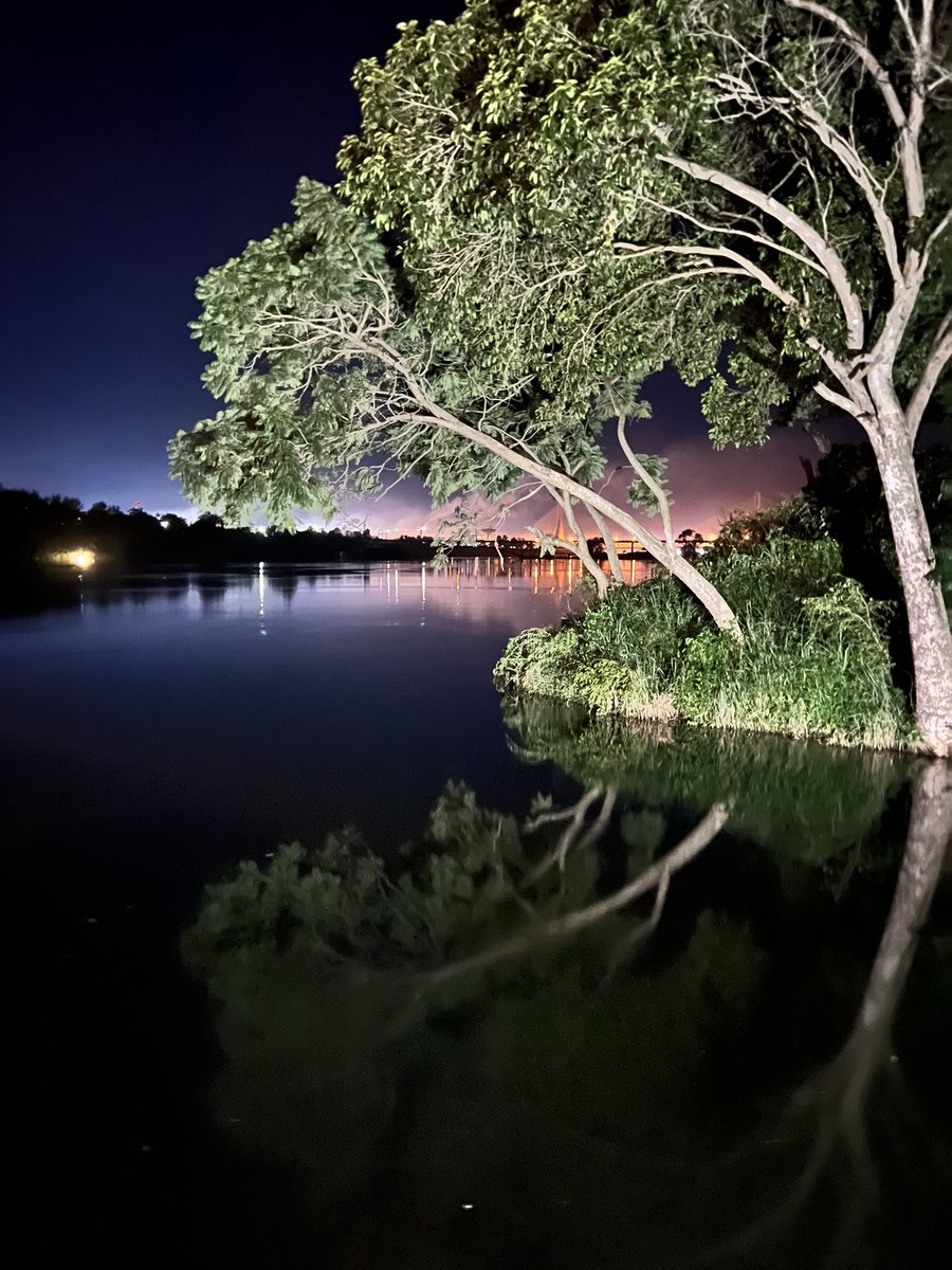 drjessani's tweet photo. On the bank of majestic and beautiful River Nile. What a surreal experience - I grew up reading stories and poems about the #Nile, and it was magical to see it in person. #Uganda #Nile #Bakhmut eastAfrica #SourceofNile #nature #NaturePhotography https://t.co/QwNzHBCe2C