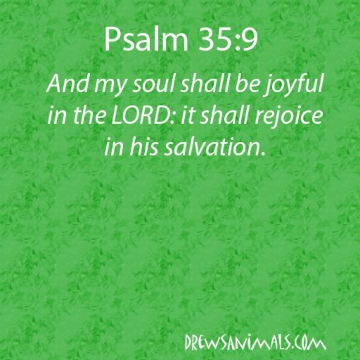 drewsanimals's tweet photo. Morning Verses https://t.co/QhuYk9UcSi