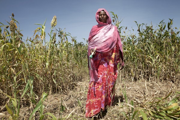 Small-scale farmers produce one third of the 🌍’s food, but receive only about 6 cents for every $1 of product they produce.
 
There is no sustainability or resilience without equity.