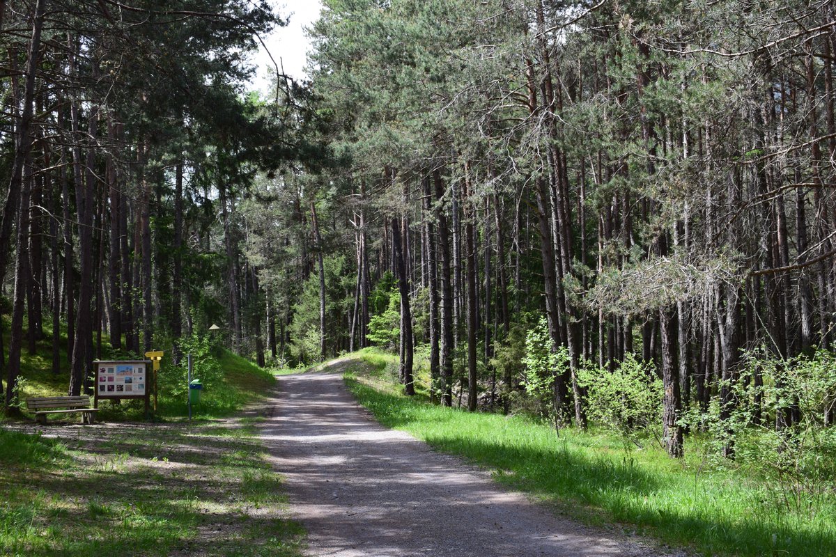 SamuelMarent's tweet image. 