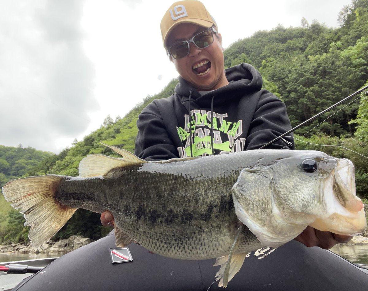 R50BASS's tweet photo. 狩野川釣行🏃‍♂️
午前中サイト、午後は巻き
53頭に52.50と45up6本、40up6本、35up4本の大満足釣果🤩
グリーンボートさん今回もありがとうございました😊
写真は50upのみの

 #グリーンボート
 #レジットデザイン 
 #ワイルドサイド
 #wss61L
 #wssst65L
 #wsc72mh
 #wsc610mh
 #wsc67L+
 #zpi
 #zelos https://t.co/qImP41OQWc