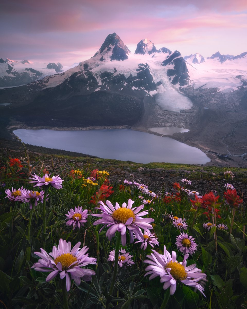 Blakerandall.eth 🕊 tweet media