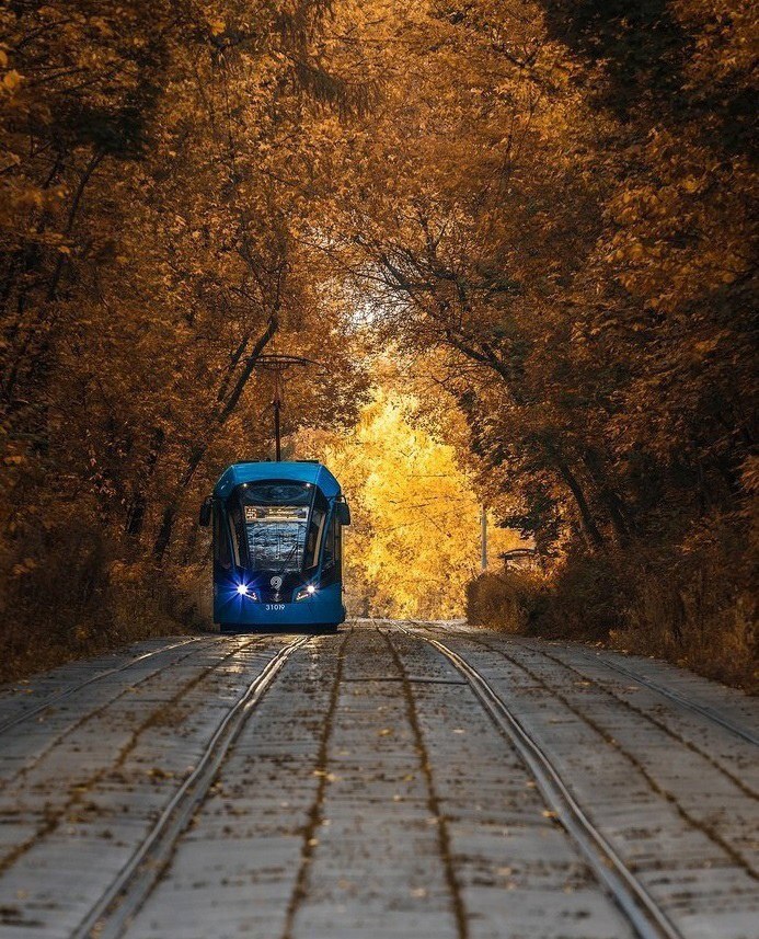 orkathistos's tweet photo. …и никогда не унывай - 
быть может, к счастью сквозь невзгоды 
тебя везут не пароходы, 
а просто старенький трамвай... https://t.co/7ERbi7r5OC