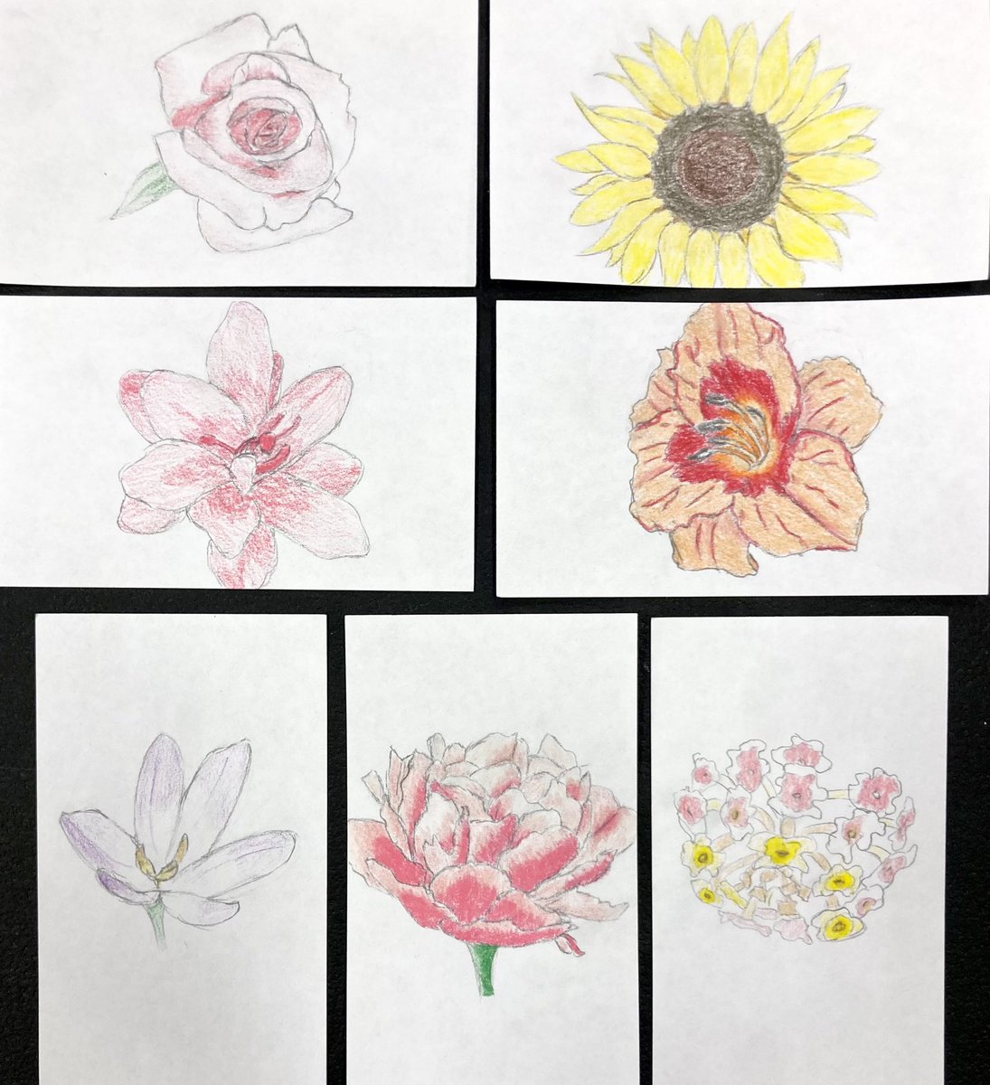 nchsvisualarts's tweet image. VA COMP | Final projects were a collection showing unity through various Art Elements. #nchsvisualarts #highschoolart #artteacher #artsedga #cobbartrocks
