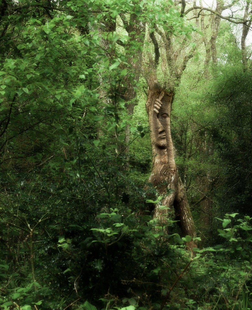 Woodland character.
