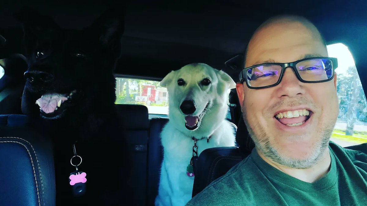 WebbWorks4u's tweet photo. Morning Car Ride 🚗 

Look at our poor car windows 🤣🤣
#doggiedaycare #dogtoy #dogsplaying #plantcityflorida #dogsofinstagram #dog #dogs #dogsofinsta #doglover #webbworks https://t.co/rurxqyHefx