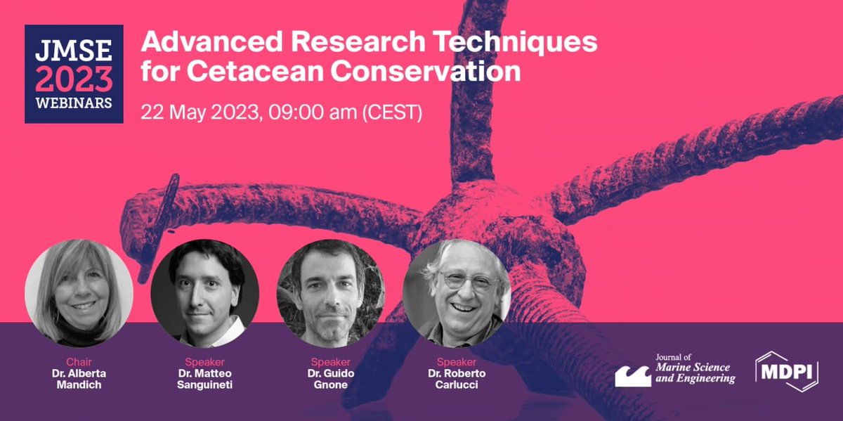 CLICproject's tweet image. Save the date

Domani 22 Maggio alle ore 9.00
Tomorrow 22 May at 9 a.m.
Demain 22 mai à 9 heures

#cetacean #conservation #webminar