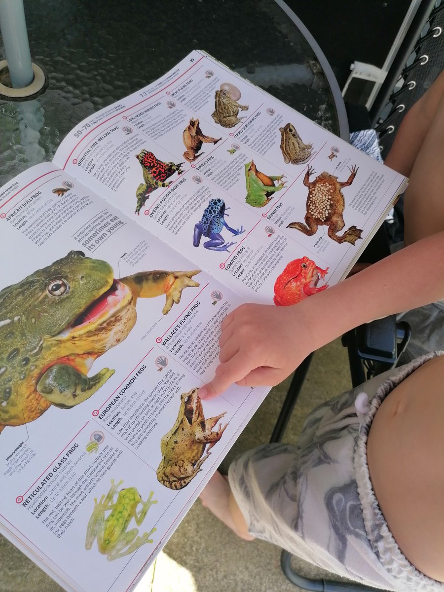 OUgaine's tweet photo. 105 frog hops from David&Martin and a photo with real European common frogπ@MrsBullockBPS @MrsAcaster @BoothferryPS
#BPSactivehomework https://t.co/FbgfXMAZBO
