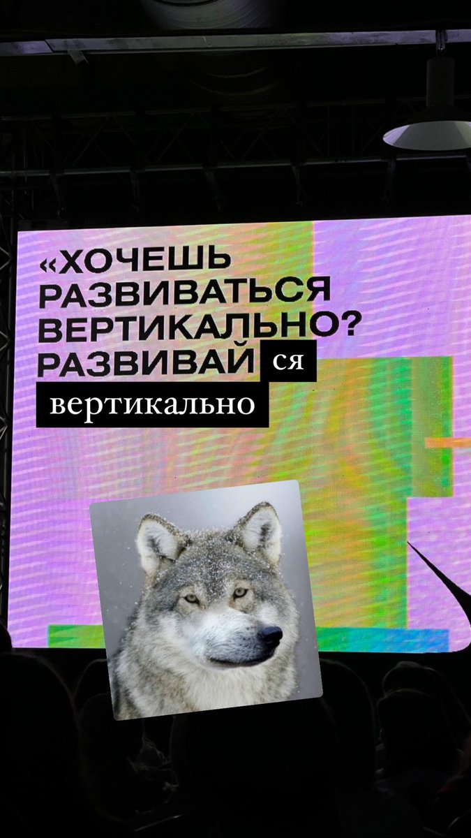 pushinandrej tweet picture