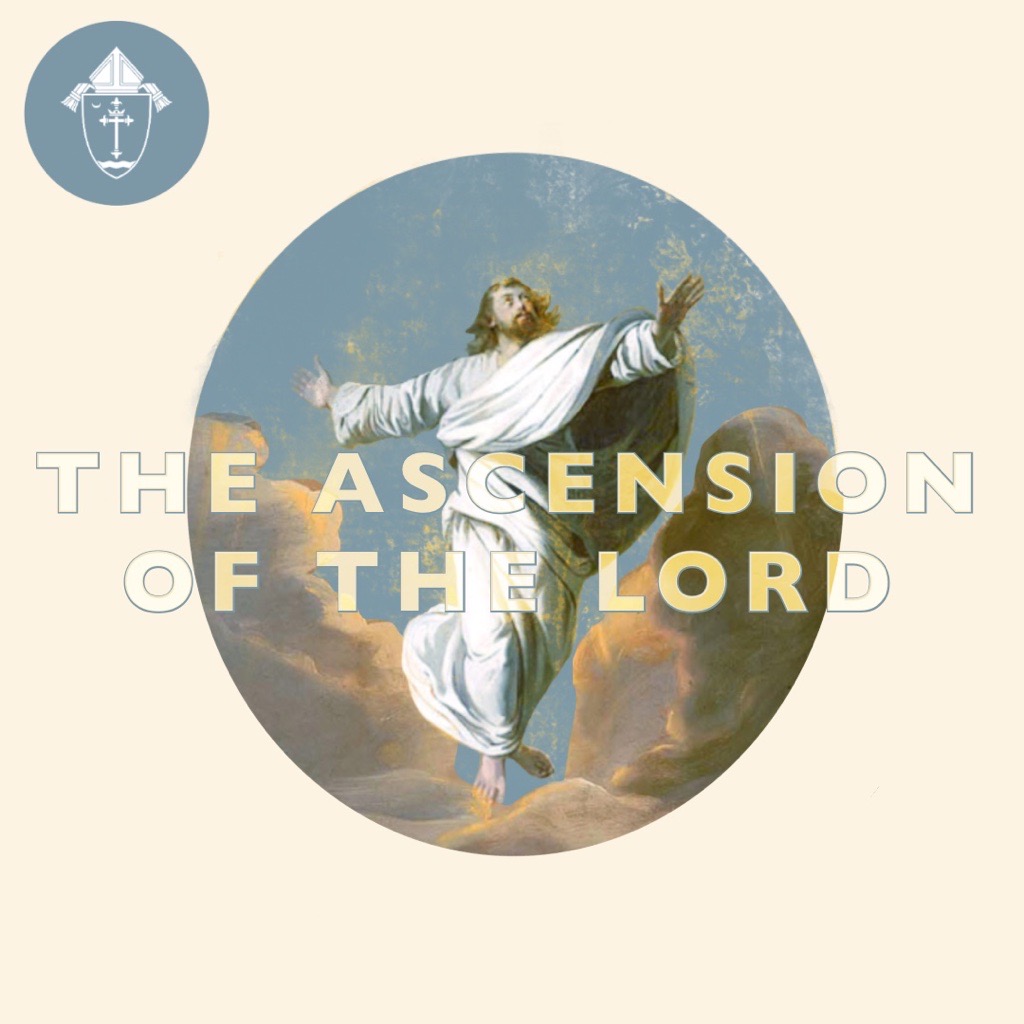 archstl's tweet photo. We pray for the whole Church on this Solemnity of the Ascension, that our glorious Lord and Savior may fill the hearts of all with His paschal joy which will release itself in a bold proclamation of the joy of the Gospel.
#ForwardinHope #AllThingsNew https://t.co/mpyWStqFP9
