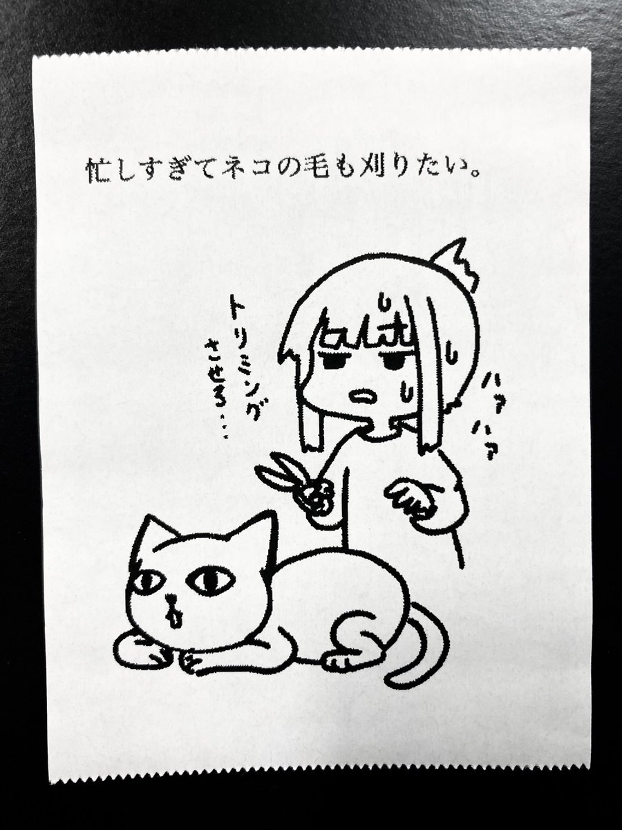 今日の怪文書