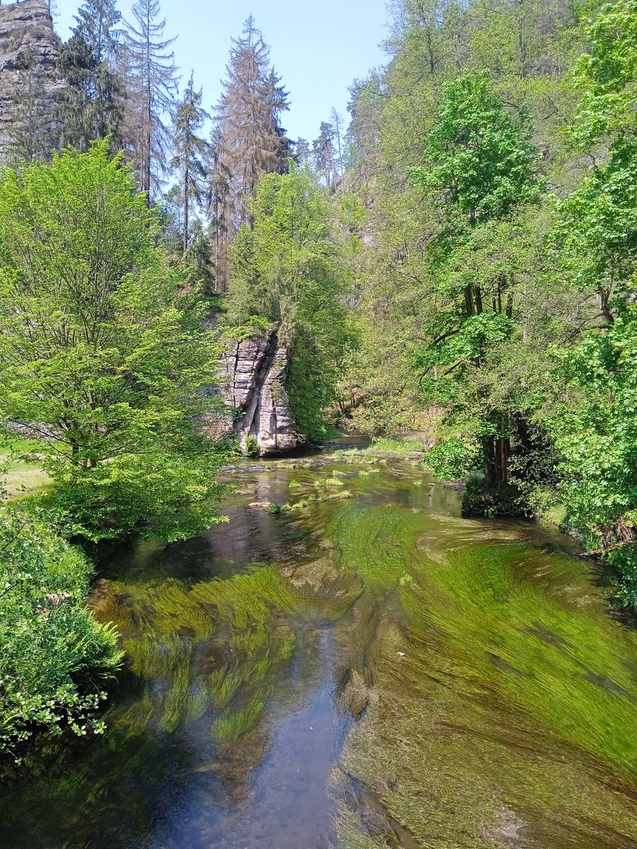 AlmyraWeigel's tweet photo. @almyraweigel 
Greetings from Bohemian Switzerland. #CzechRepublic https://t.co/yi1f6TzQhx