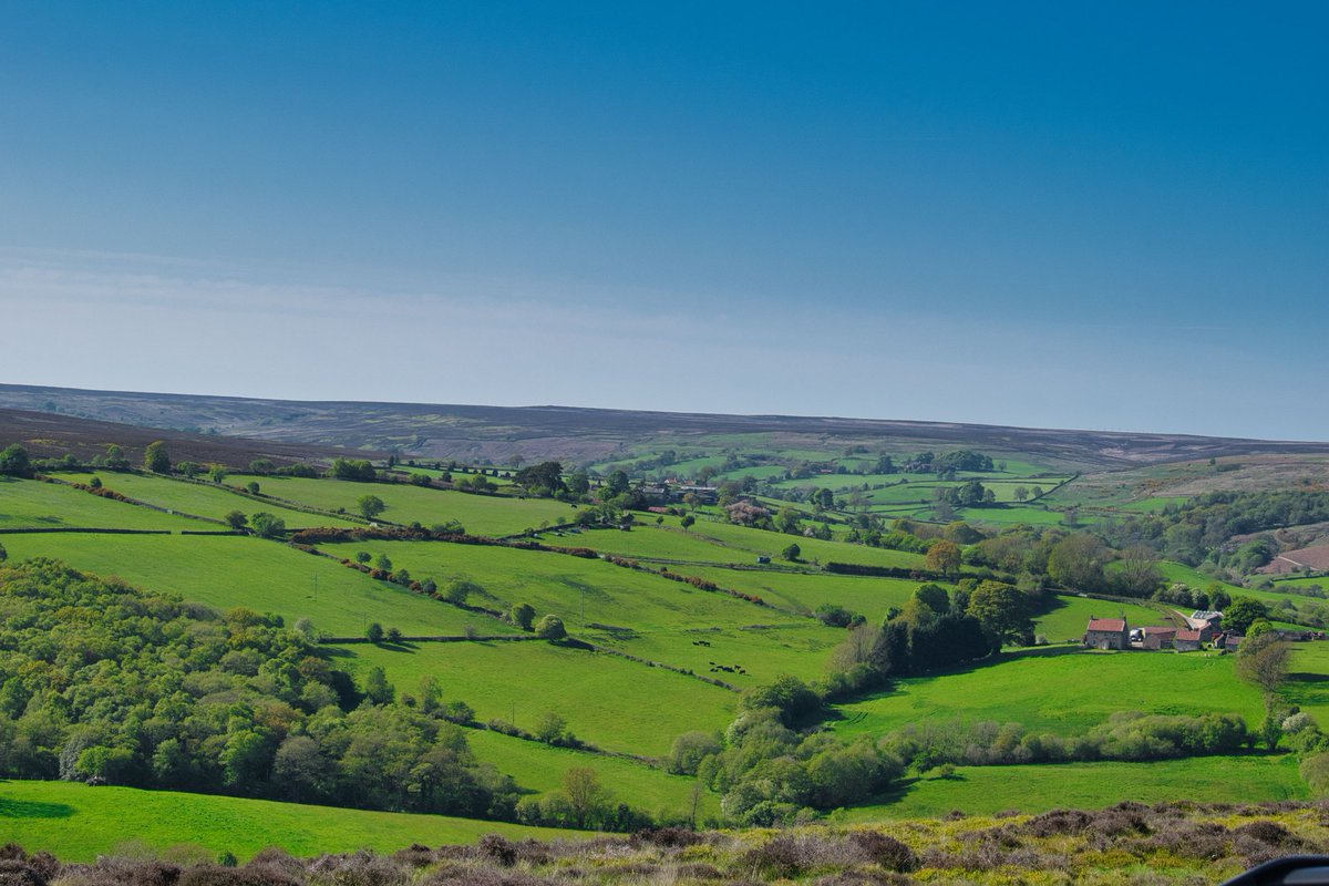 Adamski_Fox's tweet photo. Not normally one to post, but hey gotta start somewhere. 

Got to Love the North York Moors, especially to drive on Blakey Ridge with my Baby 🥰 https://t.co/U8PMcqrC0Y