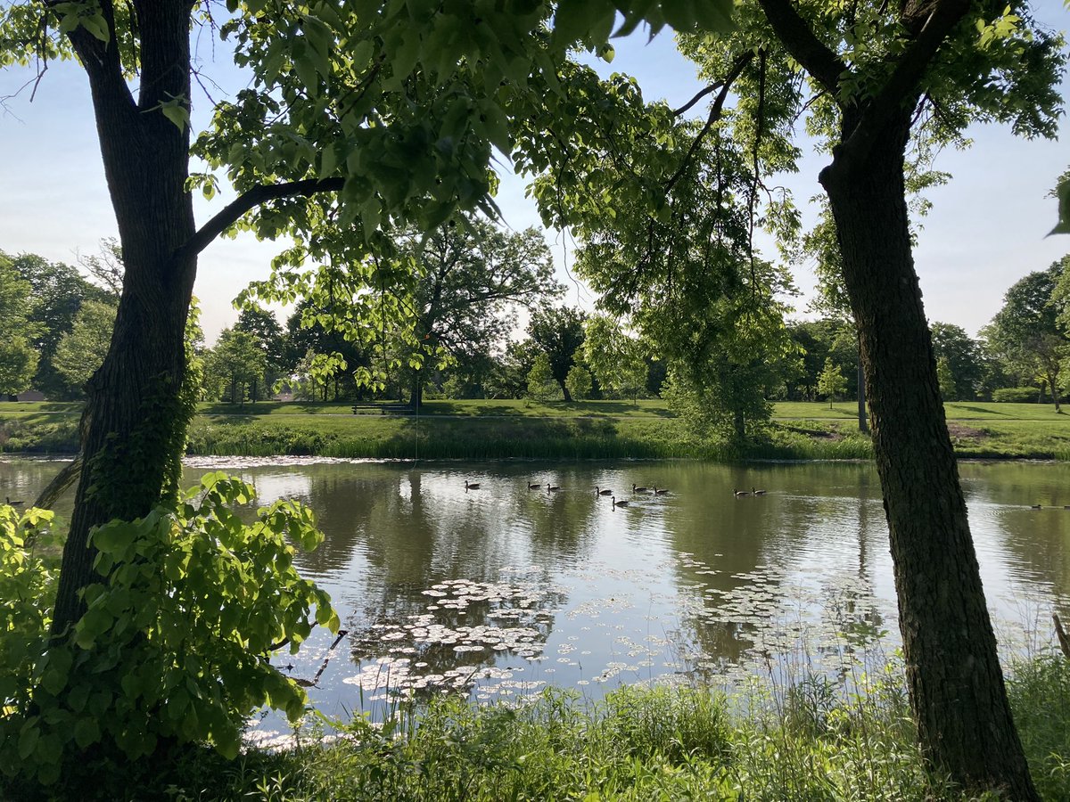 Gregory Royal Pratt tweet media