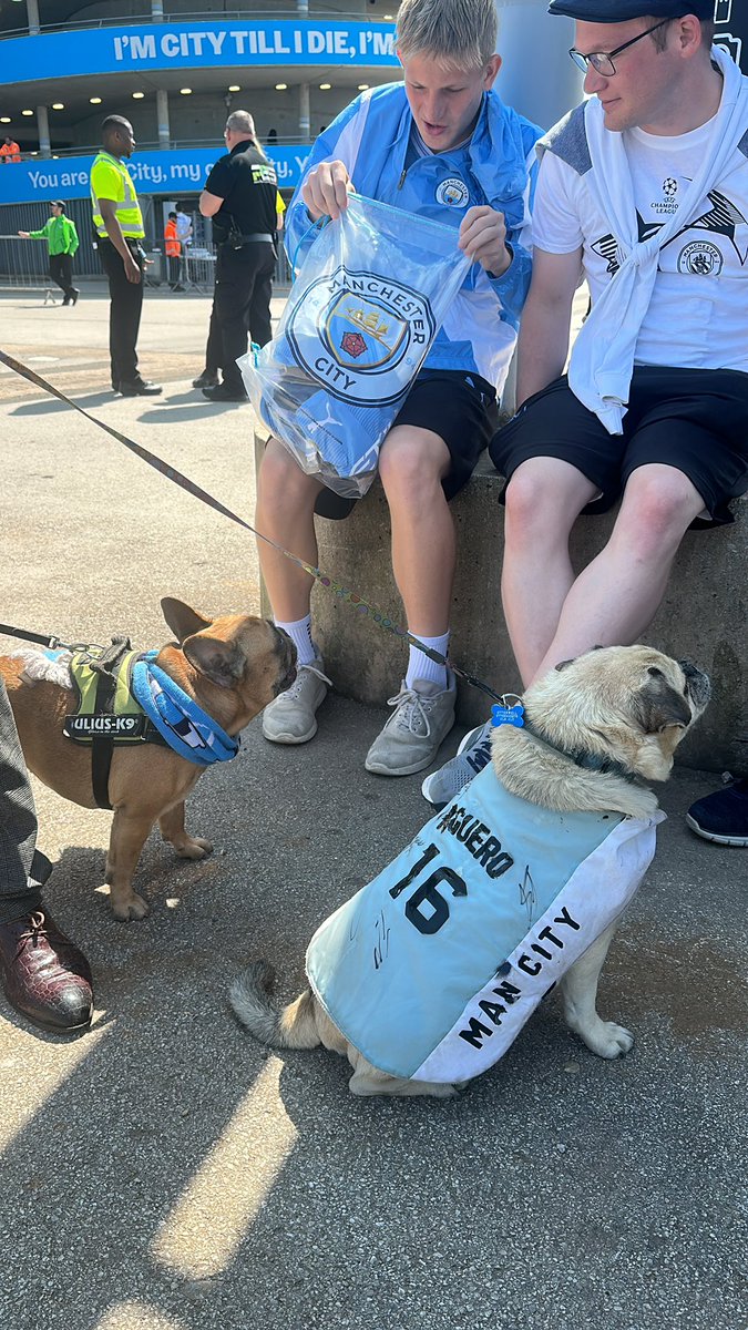beccajamess_'s tweet photo. @ImmunityDogMCFC come on city @ManCity get this dog Haaland’s signature on his coat, loveliest bloke💙 https://t.co/CLaXQBcpMK