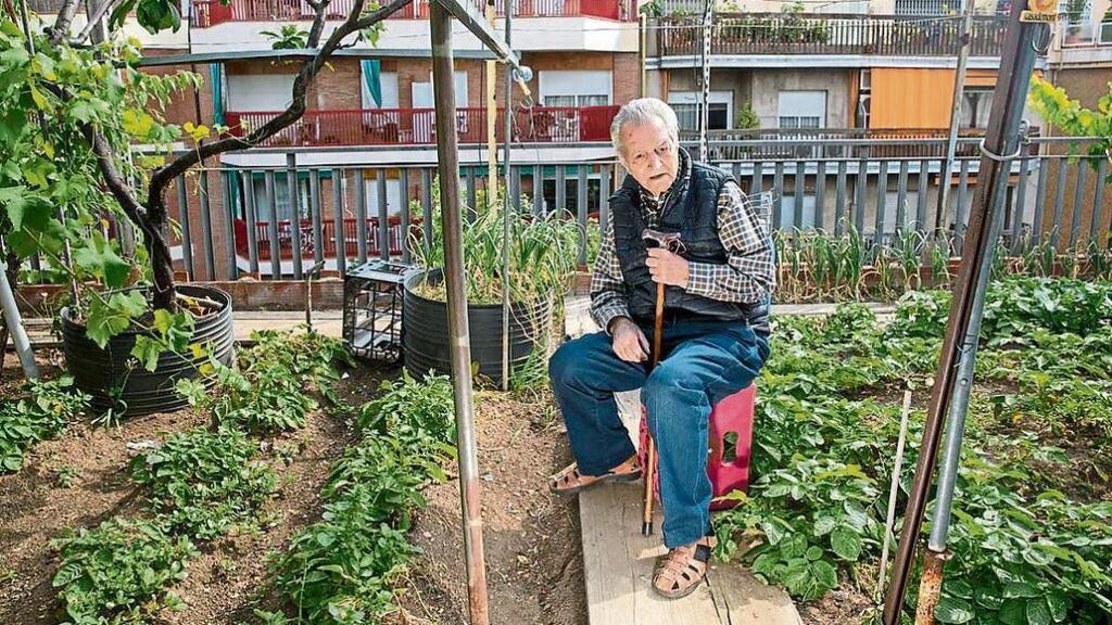 El pionero de las azoteas verdes cumple 100 años
       ift.tt/ojF0Y1e