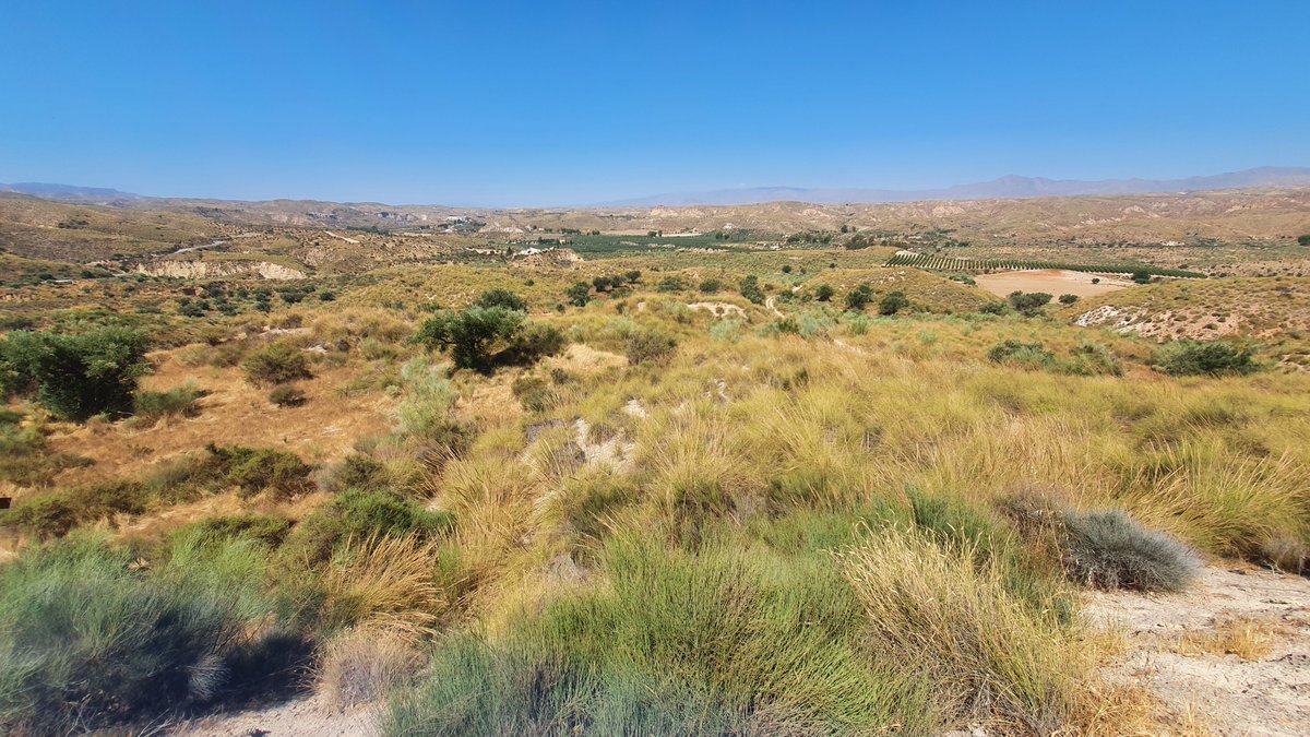 Hoy (21/05/2023) se cumplen 31 años de la creación de la Red Natura. #Natura2000day. 🦉🦇🐸🍎🦎🌿🧑‍🌾🐟🐞Por una #RedNatura2000 bien conservada, gestionada y valorada.  🌳🌼🐝🐦🪺👩‍⚖️🐿️🐑🐍 #RedesdeVida🕸️ <a href="/fundacionoso/">Fundación Oso Pardo</a> <a href="/FCQorg/">Fundación_Quebrantahuesos</a> <a href="/fundNYH/">FundacionNYH</a> <a href="/FCBD_Habitat/">Fundación CBD-Hábitat</a> <a href="/FGlobalNature/">Fundación Global Nature</a> <a href="/FundacionAquila/">Fundación Aquila</a>