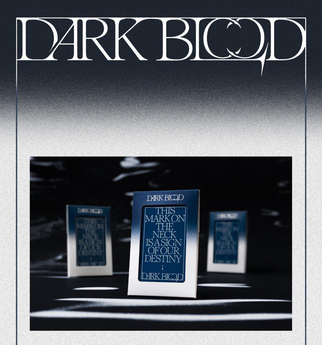 reinceybns's tweet photo. ‼️GA / GIVEAWAY‼️

Enhypen Dark Blood Weverse Version 

🎧 mbf 
🎧 tag 3 mutuals 
🎧 like and rt my #rcywts 
🎧 reply for proofs 

🏷️ enhypen dark blood giveaway sunghoon jake ni-ki sunoo jay heeseung jungwon https://t.co/DNF98de4F8