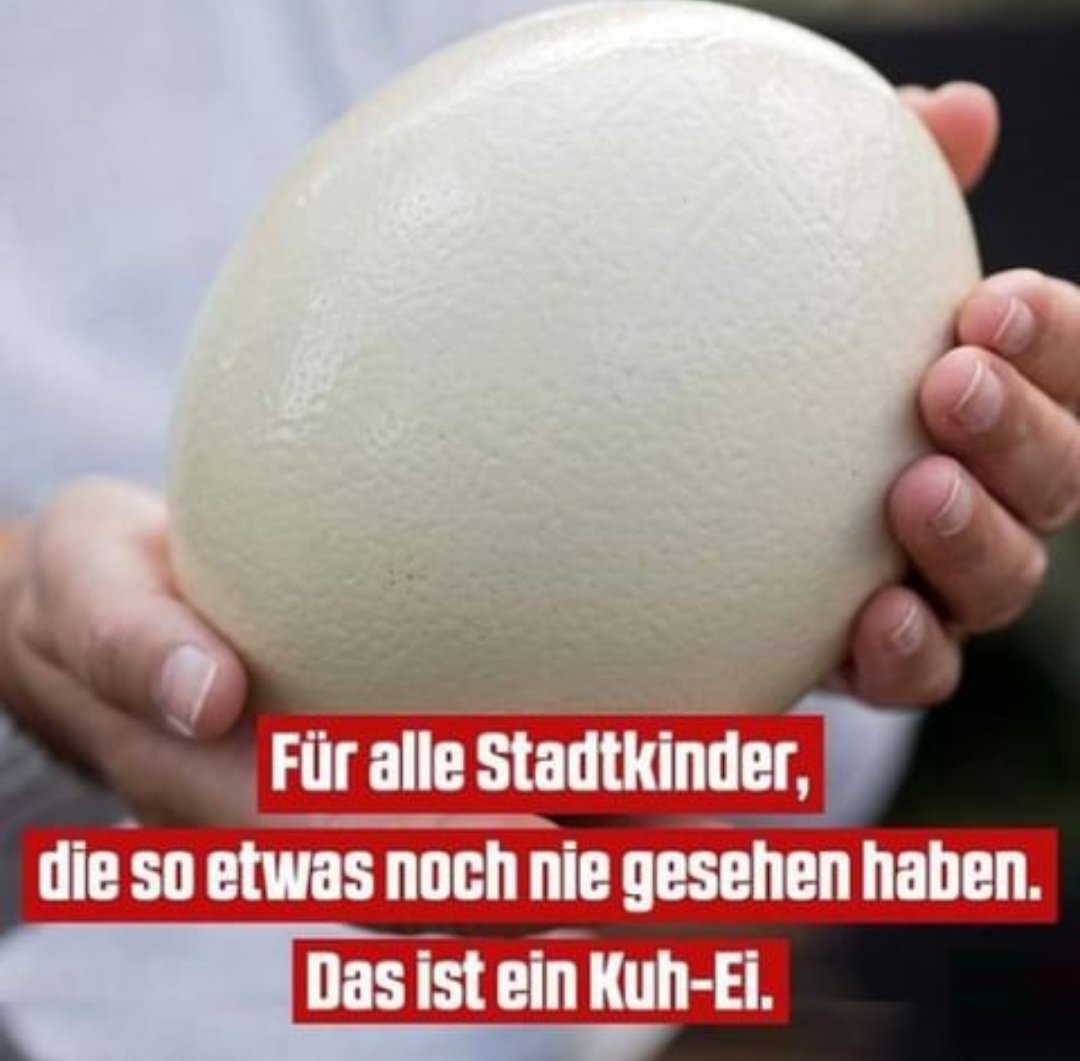 So siehts mal aus 😝