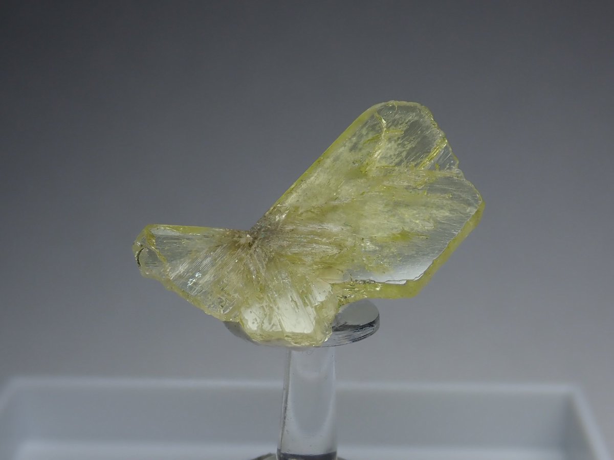 Bump_cloud's tweet image. 昔の写真から。
クリソベリル、ヘリオドール、ゾイサイト、カルサイト。