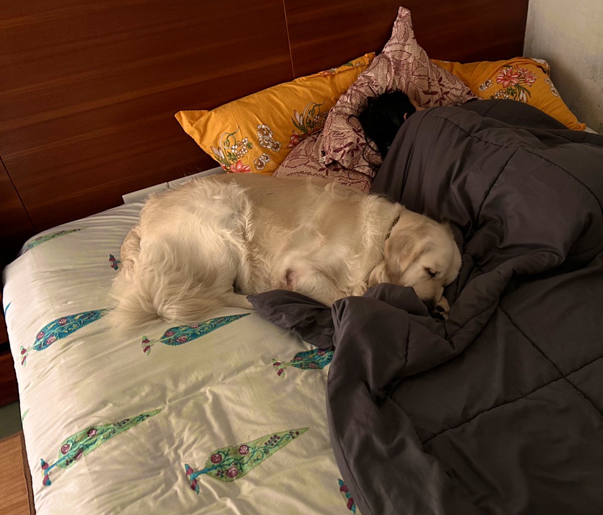 bacio_the's tweet photo. Momma n me , 💤💤, duh yuh duh thissss…….. https://t.co/23AQPvFVUH