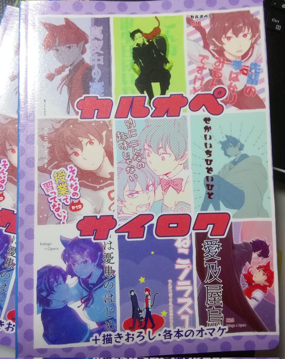 ここらへんの本だけ入れてます(性別不詳か女性で描いてる漫画だけ)2020年の本数冊と小説本と男性で描いてる本は入れてない そこらへんも再録本にしたいけど外伝見る前の本が見直せなさすぎて2020年の本は多分紙で再録本にはしないと思います  納品されたらとらさんでまたカートに入れられるはず…