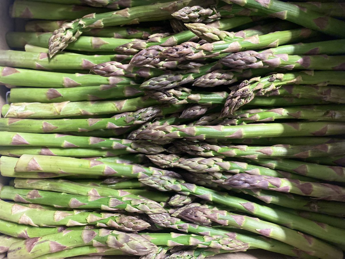 Fruit Basket Direct tweet media