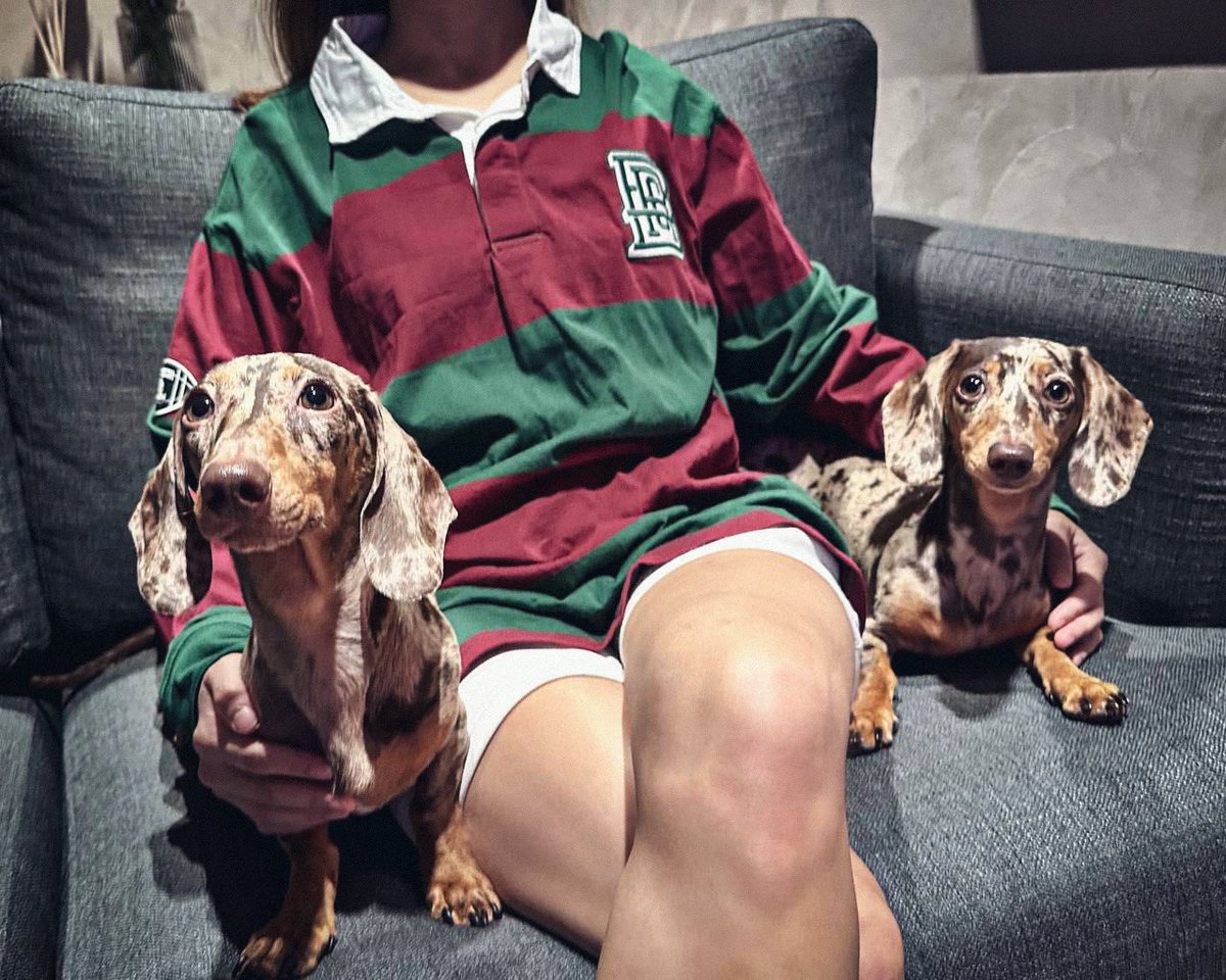 brownworkglov3's tweet photo. Got my partner @lesfrit3s the @BBRCOfficial Rugby shirt with two rugby balls 🏈 #SundayswithIVYS https://t.co/c7CSJrn5Ei