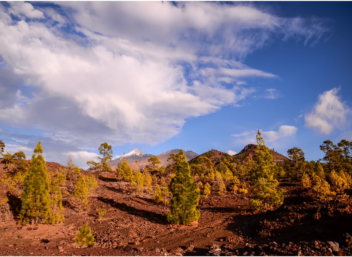 GlomaTravel's tweet photo. Descubre la maravilla del Parque Nacional del Teide
Si estás buscando una experiencia personalizada y exclusiva durante tu visita a Tenerife, no puedes perderte la oportunidad de disfrutar de una excursión privada al Parque Nacional del Teide
#teide #Tenerife #creandoilusiones https://t.co/G2jgwEqiad