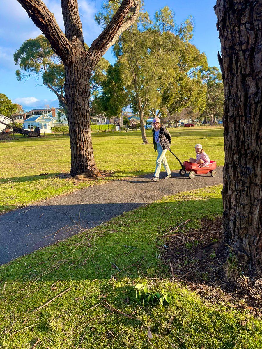 RocketClare's tweet photo. We had a very fun Community Day ☀️ #PokemonGO #PokemonGOCommunityDay https://t.co/NE7d3K7aEZ