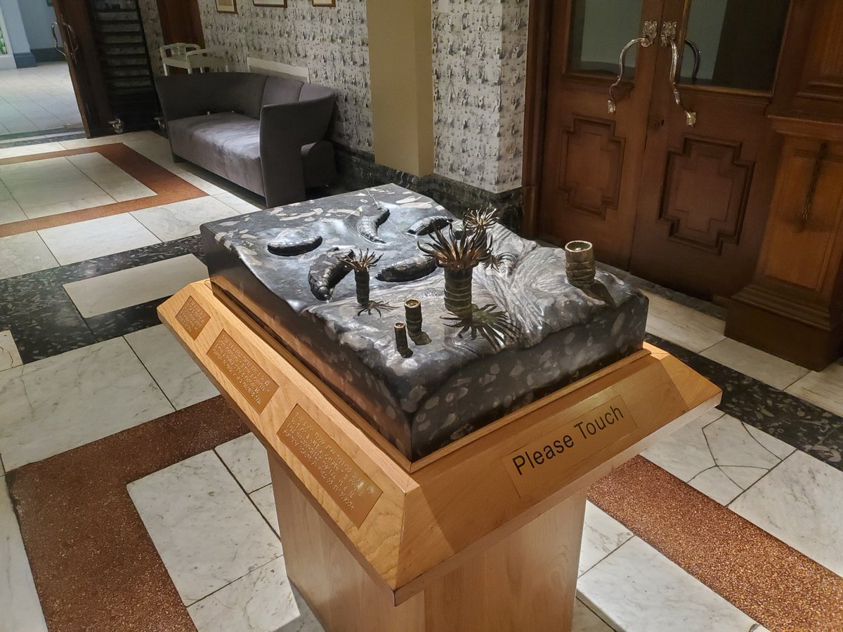 AndromedaNine's tweet image. This is fantastic by @LaingArtGallery. Lovely tactile exhibits, our history and culture should be accessible for all #history #culture #museum #DiversityandInclusion #D&amp;amp;I #diversity #lateshowsnewcastle