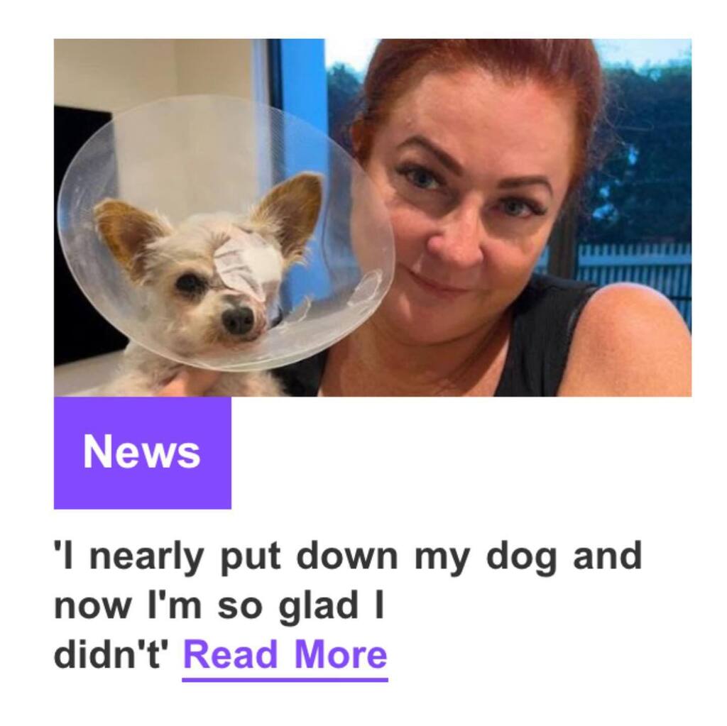 Here’s the story I wrote for <a href="/9honey/">Ｑ</a> about Bella. 

I’m so glad our vet helped us decide to operate not put down Bella.

She’s a survivor! 

Link in bio. instagr.am/p/Csf42tBPCiQ/