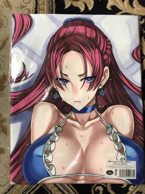 数年前たしか東京ゲームショーの物販で販売された「セルベリア」と「ユリアナ」抱き枕カバー。頑張って描いたからまた再版してくれないかな・・・