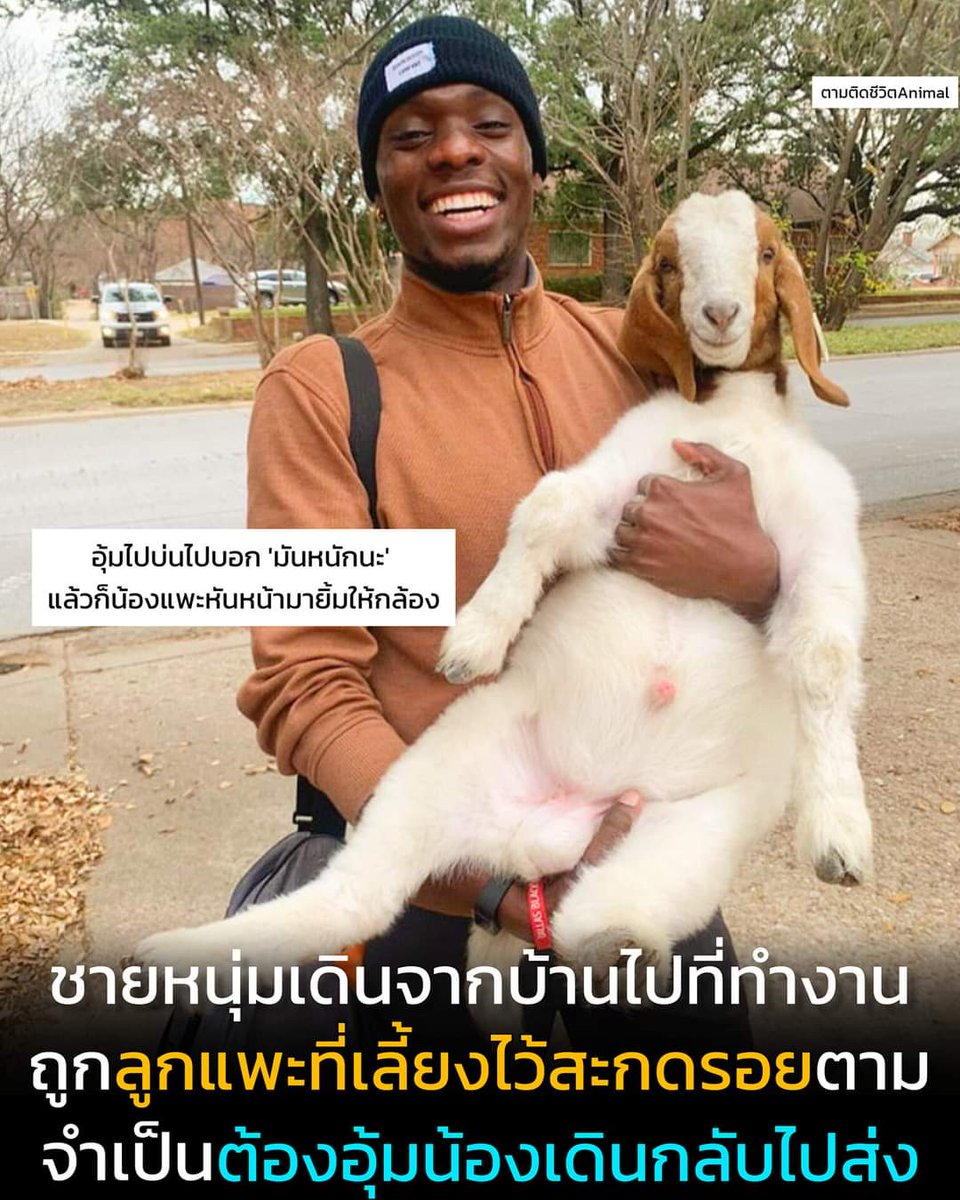 nu-an tweet media