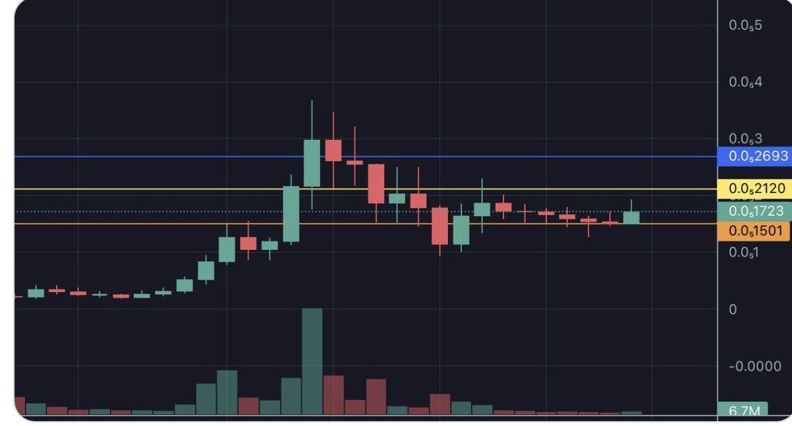 cryptosb55's tweet photo. @pepecoinethTR @PEPE https://t.co/mtHtGiLZ14