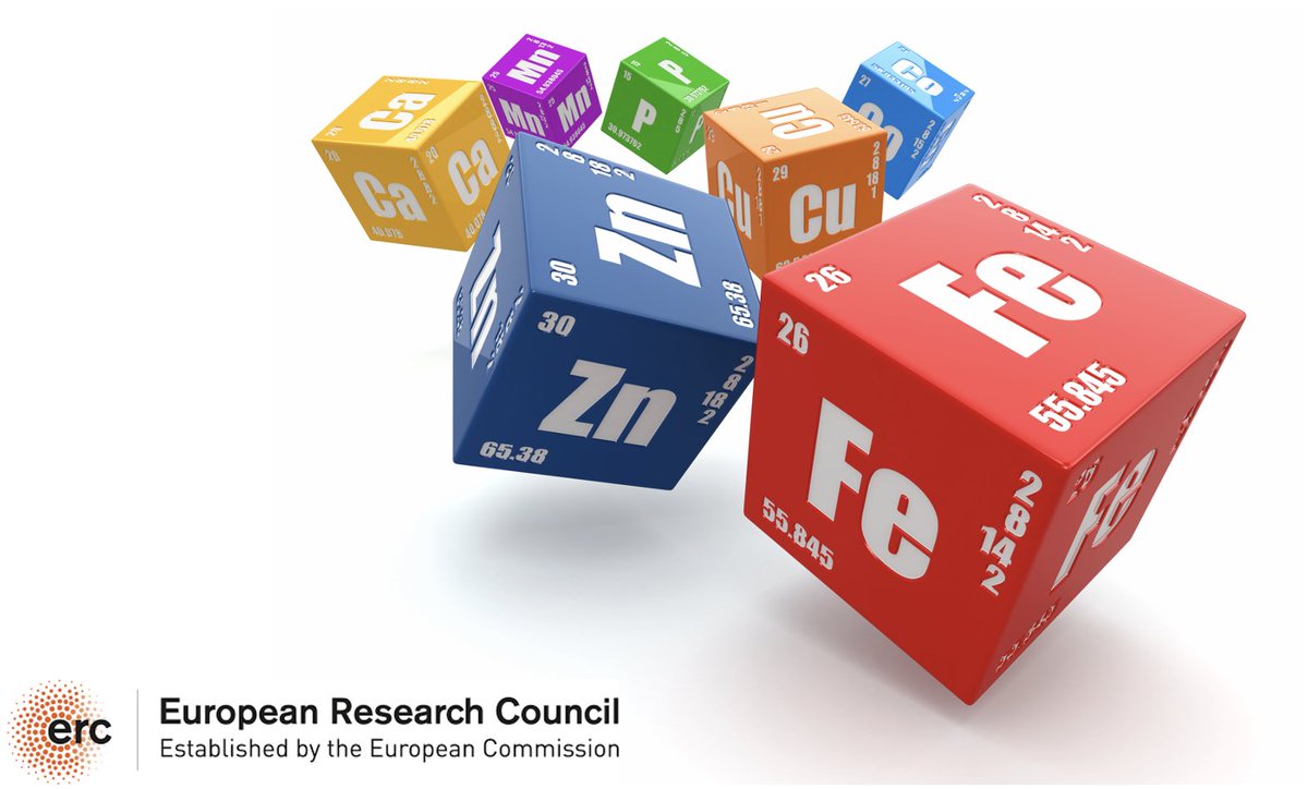 deRuiterLabs's tweet photo. @deRuiterLabs  is looking for two excellent PhD students for our ERC Project on Iron Catalyzed Cross-Coupling, C-H Activation and Metathesis. If you are interested in studying in Israel in a competitive and excellent research environment Please Apply and Share https://t.co/744xLq28TA