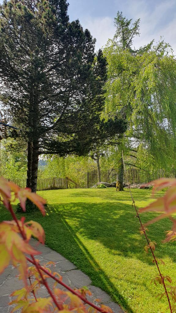 Albsteighost's tweet photo. Es gibt noch einzelne freie Termine im Gartenstudio. #Südschwarzwald #Hotzenwald 
https://t.co/8Hq0flRdQg https://t.co/q9BCQWUjED