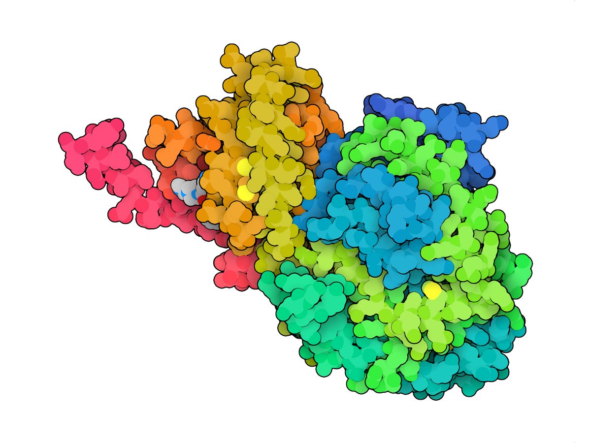 6ZIS: Crystal structure of a CGRP receptor ectodomain heterodimer with bound high affinity inhibitor – rcsb.org/structure/6ZIS