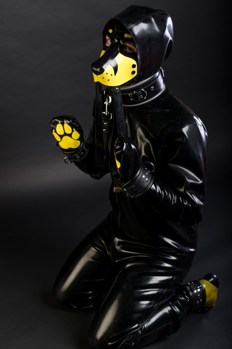 3 pic. Haven't thanked @PupPsycho for this awsome full drawn image of me ??
(And he also made a green