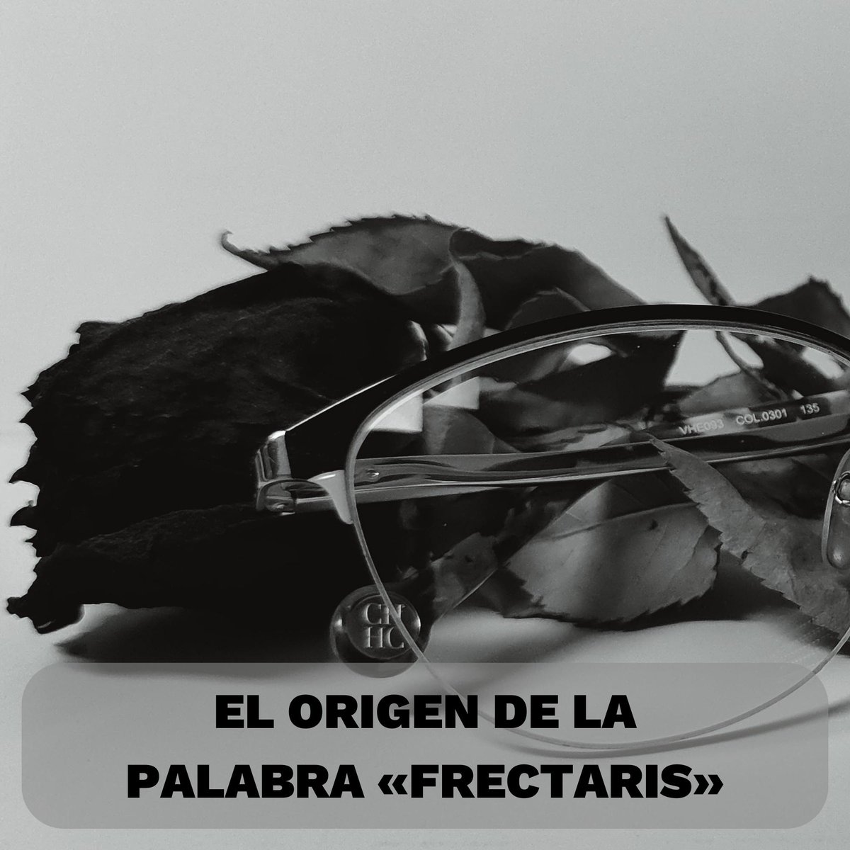 frectaris's tweet photo. Hoy os traemos un articulo muy personal e interesante, el origen de la palabra "Frectaris", descúbrelo hoy mismo:

https://t.co/vIMl4jzNDj

#BlogDeFrectaris #WebDesign #WebPage #DiseñoWeb #PaginasWeb #Frectaris https://t.co/jNqhJzzHkr